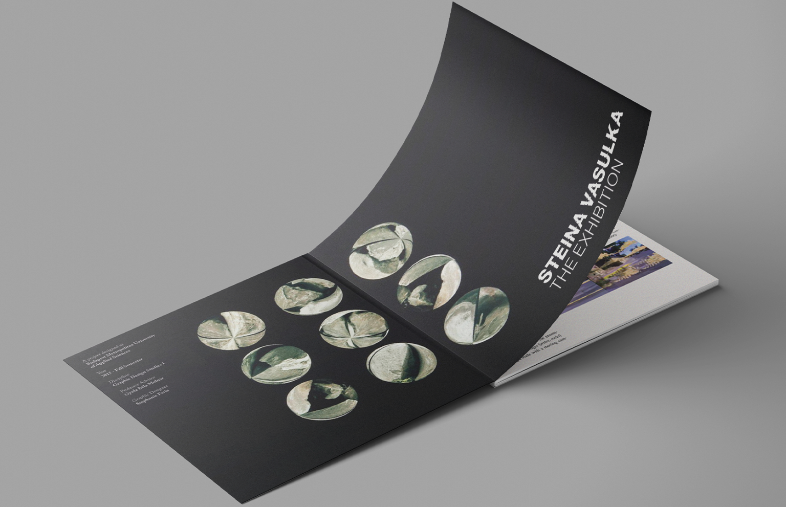 Vasulka-images-for-website3